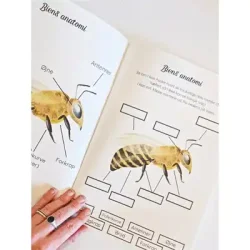 Farverige Dage Temahfte: Leg, Lring og Krea om ... 